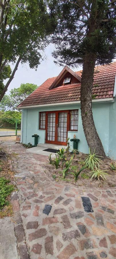 Cozy Cottage +/- 500M From The Beach Κέιπ Τάουν Εξωτερικό φωτογραφία